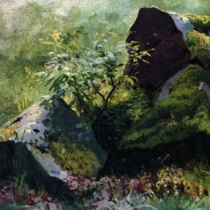 112. Камни. 1880-1890-е 19,2х28,8
