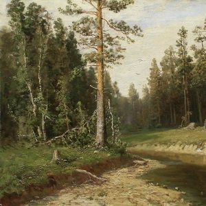 116. Корабельный лес. 1891
