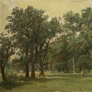 151. Лесная поляна 1889