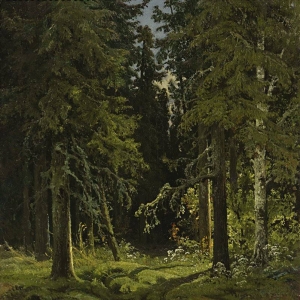 163. Лесной пейзаж 1878 45х35,5
