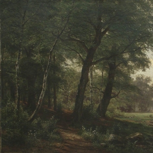 165. Лесной пейзаж с ручьем