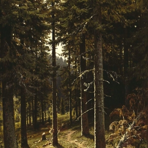 171. Лесной пейзаж1889-1890 51.2х36,9