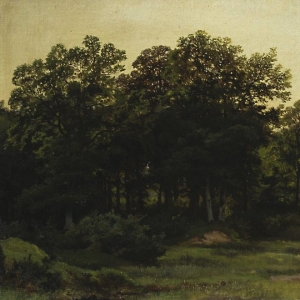 185. Лиственный лес 1890-е 34,6х51,6