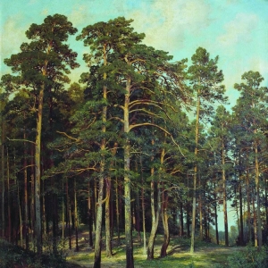 196. Мостик в лесу 1895 108х81