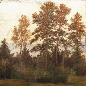 217. Опушка леса 1892