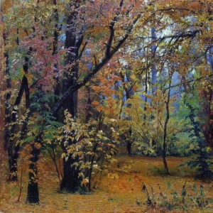 221. Осенний лес 1876 30.5х45.5