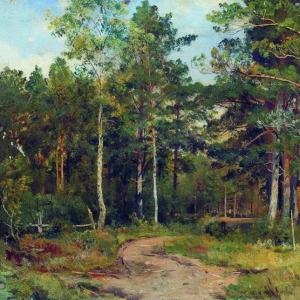 222. Осенний пейзаж. Дорожка в лесу 1894 44.2х68