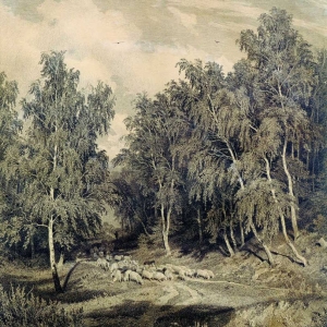 239. Пейзаж с гуртом овец 1870-Е.Офорт