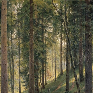 289. Ручей в лесу(На косогоре)1880 204х138