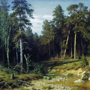 313. Сосновый бор.Мачтовый лес в Вятской губернии 1872 117х165