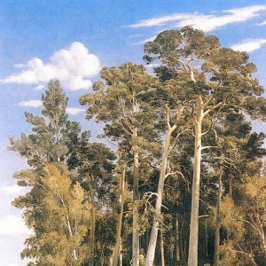 315. Сосновый лес 1866 91х70