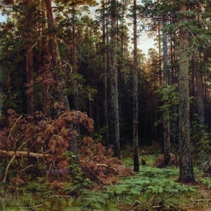 317. Сосновый лес 1885 113,5х161