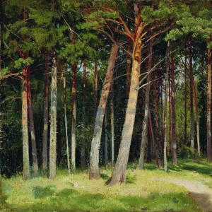 318. Сосновый лес 1885 41,8х62