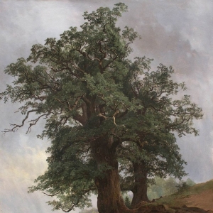 338. Старый дуб 1866