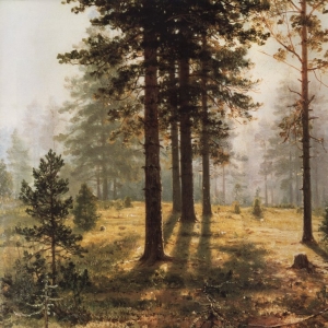 349. Туман в лесу. 1890-е 27х34