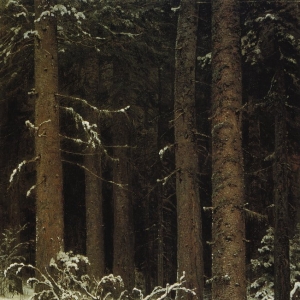89. Еловый лес зимой 1884 140х95