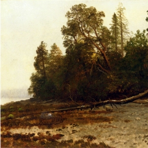 Бирштадт Альберт - Упавшее дерево