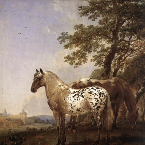Николас Берхем - Две лошади в пейзаже