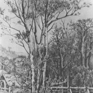 Мельница у лесного ручья. 1884