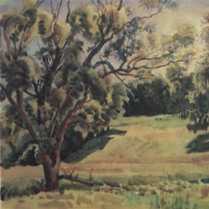 Лесной пейзаж в окрестностях Тарусы. 1930-е