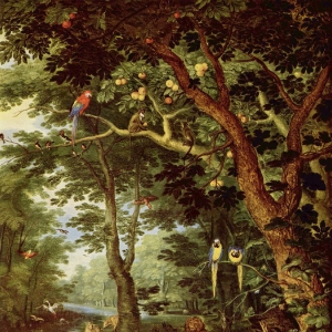 Рай (1620)
