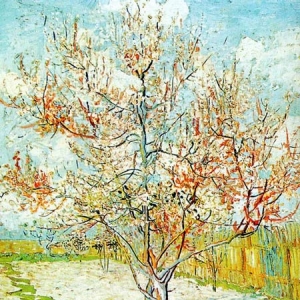 105. Ван Гог - Персиковые деревья в цвету