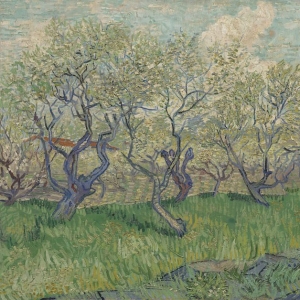 151. Ван Гог - Фруктовый сад в цвету