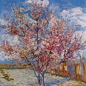 155. Ван Гог - Цветущие персики (в память о Мауве)