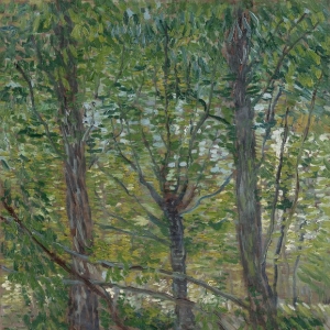 39. Ван Гог - Деревья