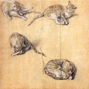 Шесть этюдов кошки