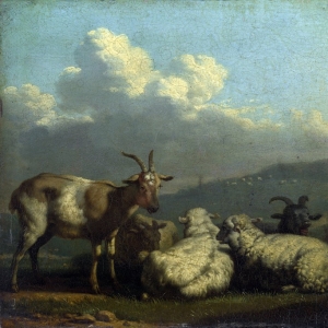 Дюжарден Карел - Овцы и козы