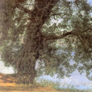 Дерево в тени над водой в окрестностях Кастель-Гандольфо. 