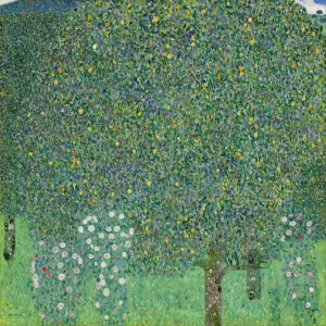 Густав Климт - Розовые кусты под деревьями