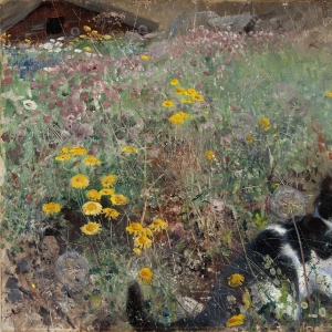 Бруно Лильефорс - Кошка на цветочном лугу