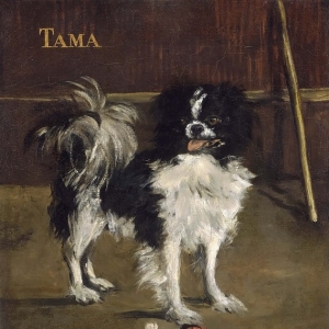 Мане Эдуард - Тама, японская собака
