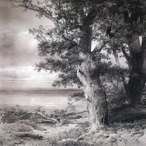 Саврасов Алексей Кондратьевич - Дубы на берегу. 1867