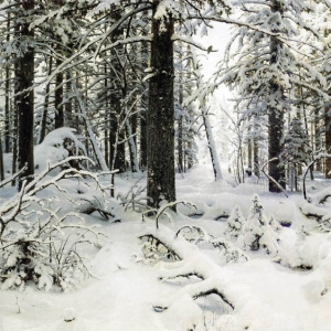 Шишкин Иван. Зима (1890)