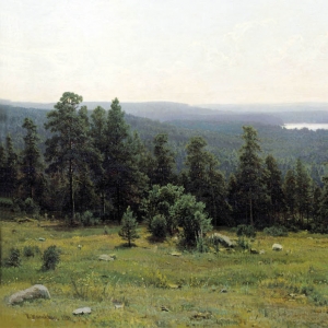Шишкин Иван. Лесные дали (1884)